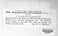 Nothopassalora personata image